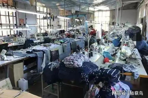 牡丹江一大型工廠二拍遇冷，1044.7萬元無人問津的背后